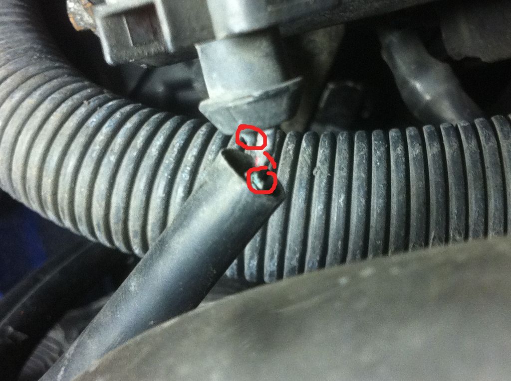 reverse lights not working Skoda Fabia Mk I (19992007) BRISKODA